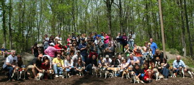 Rocky Top Beagle Meet May 1, 2011